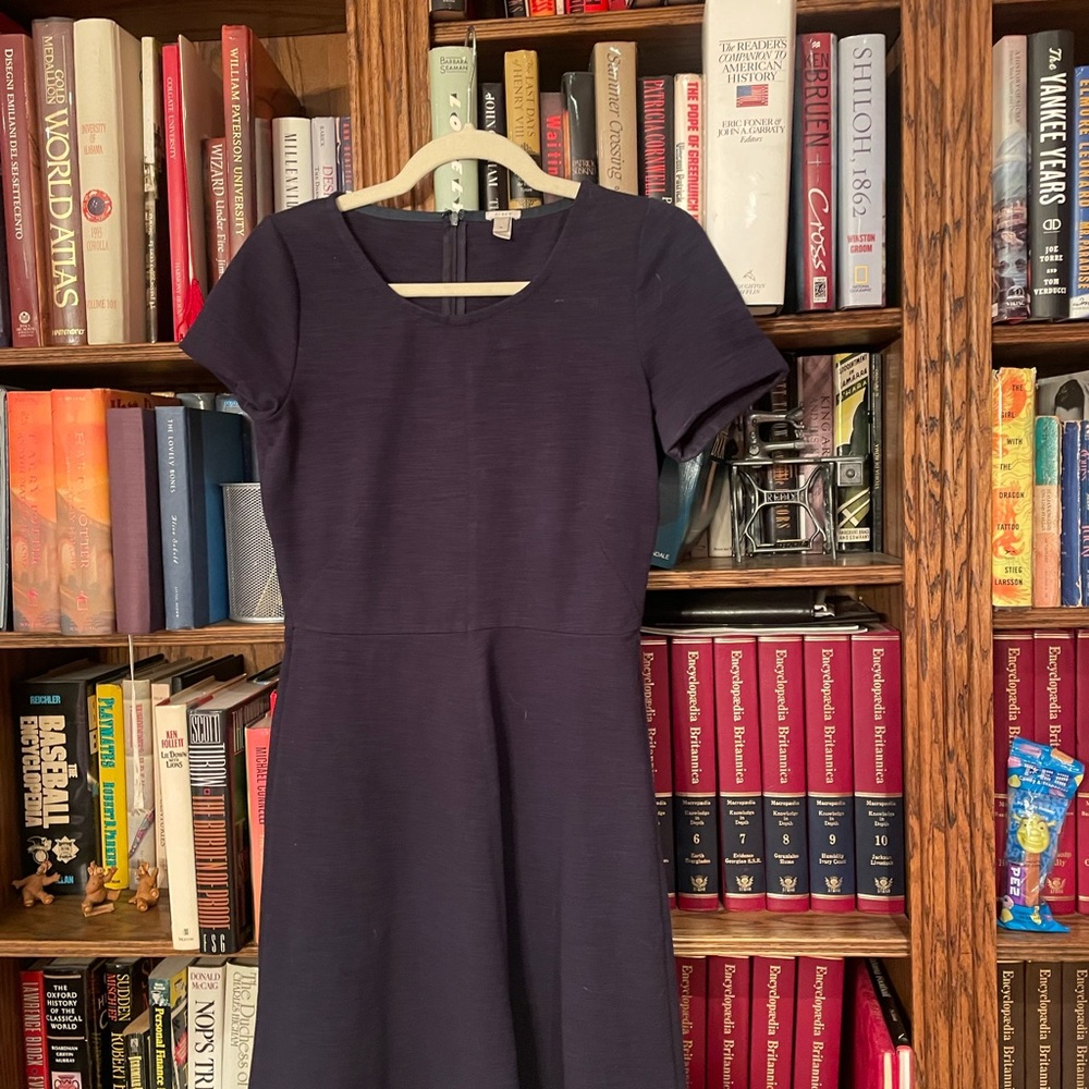J. Crew A-Line Dress Square Neck Short Sleeve